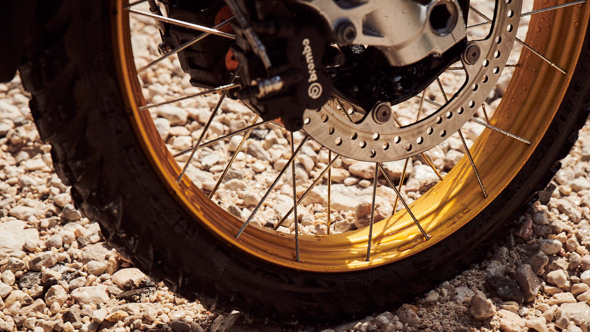 Detail of the front wheel of the new BMW F 850 GS Adventure